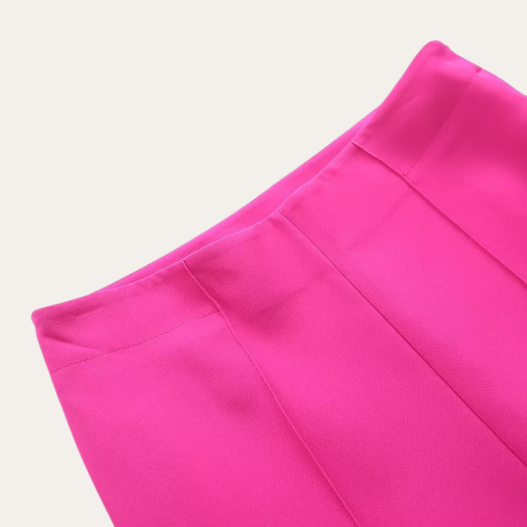 Dames Elegant Getailleerd Pak