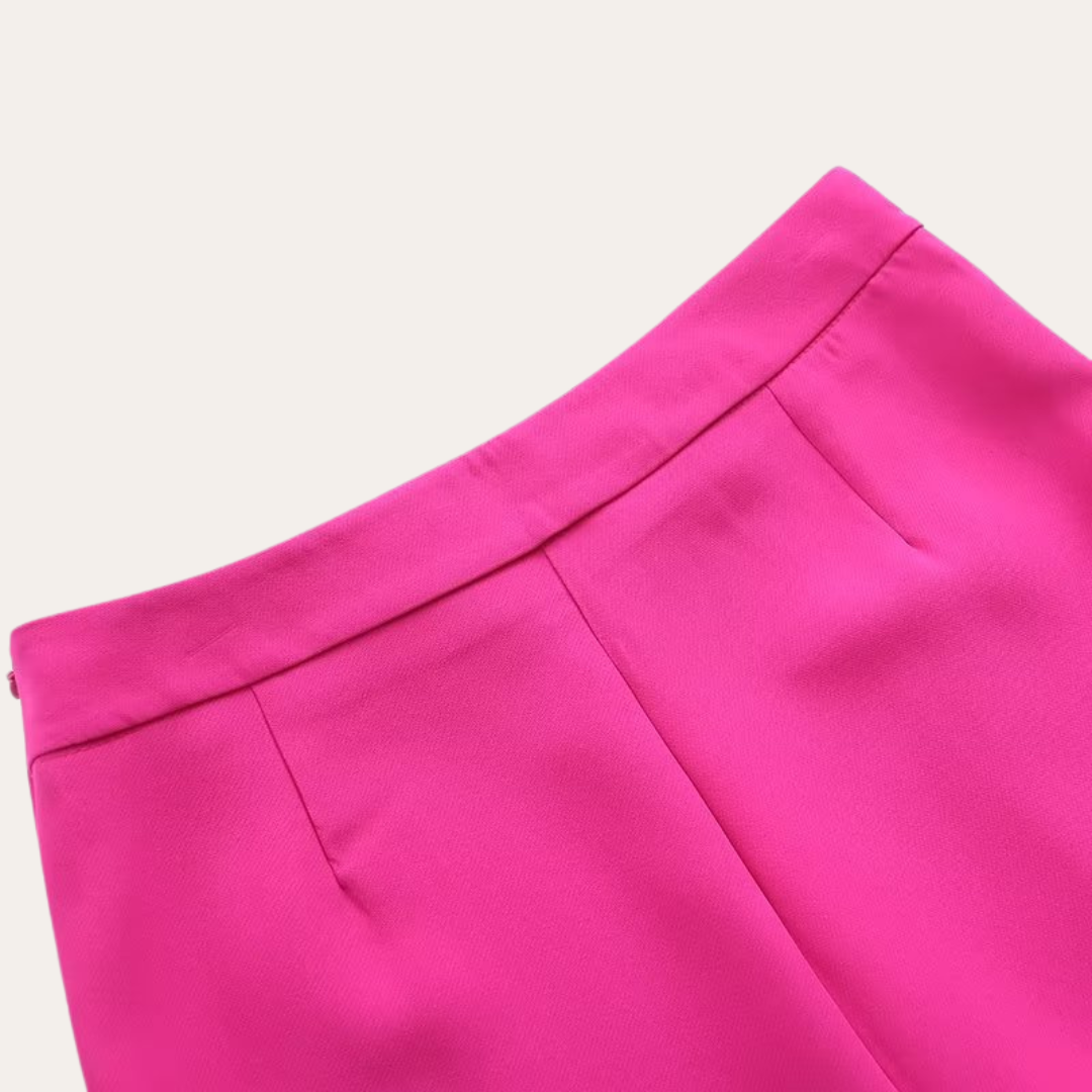 Dames Elegant Getailleerd Pak